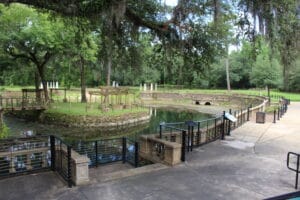 Radium_Springs